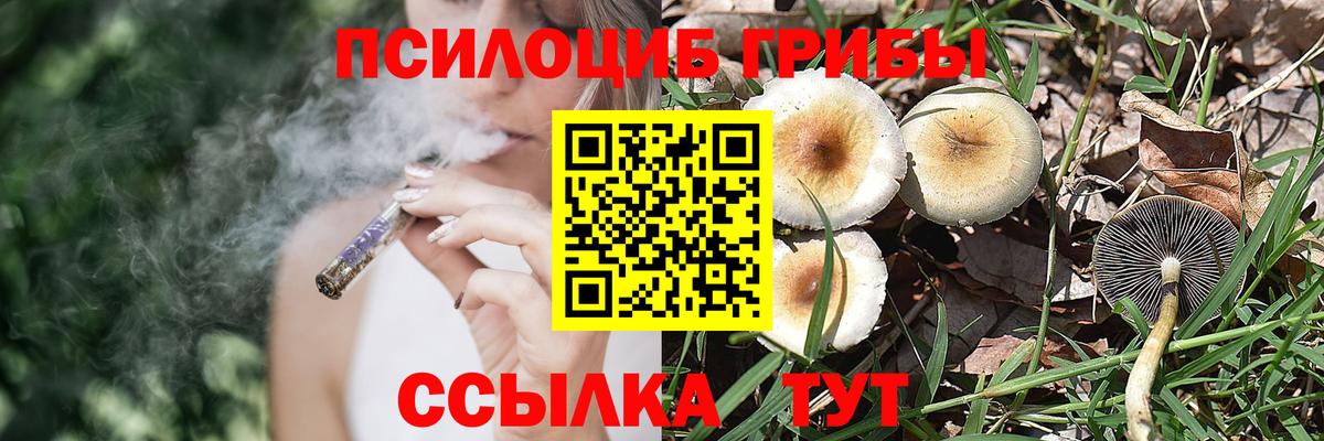 продажа наркотиков  Вход с VPN  Строитель  Галлюциногенные грибы прущие грибы 